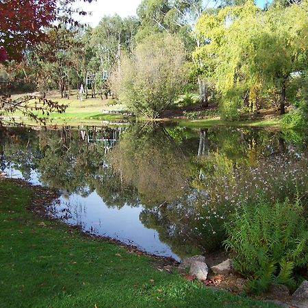 Granite Gardens Cottages & Lake Retreat Stanthorpe Exterior foto