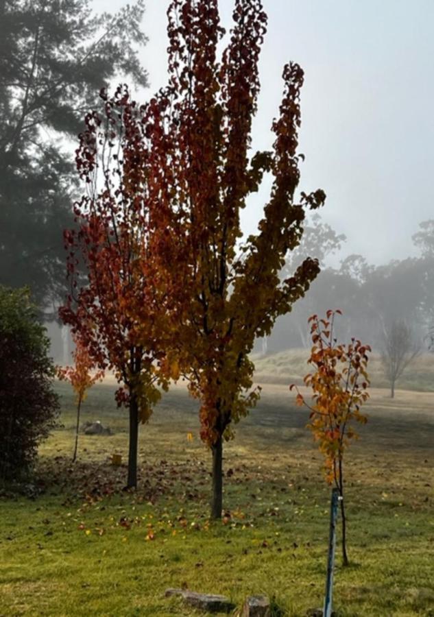 Granite Gardens Cottages & Lake Retreat Stanthorpe Exterior foto
