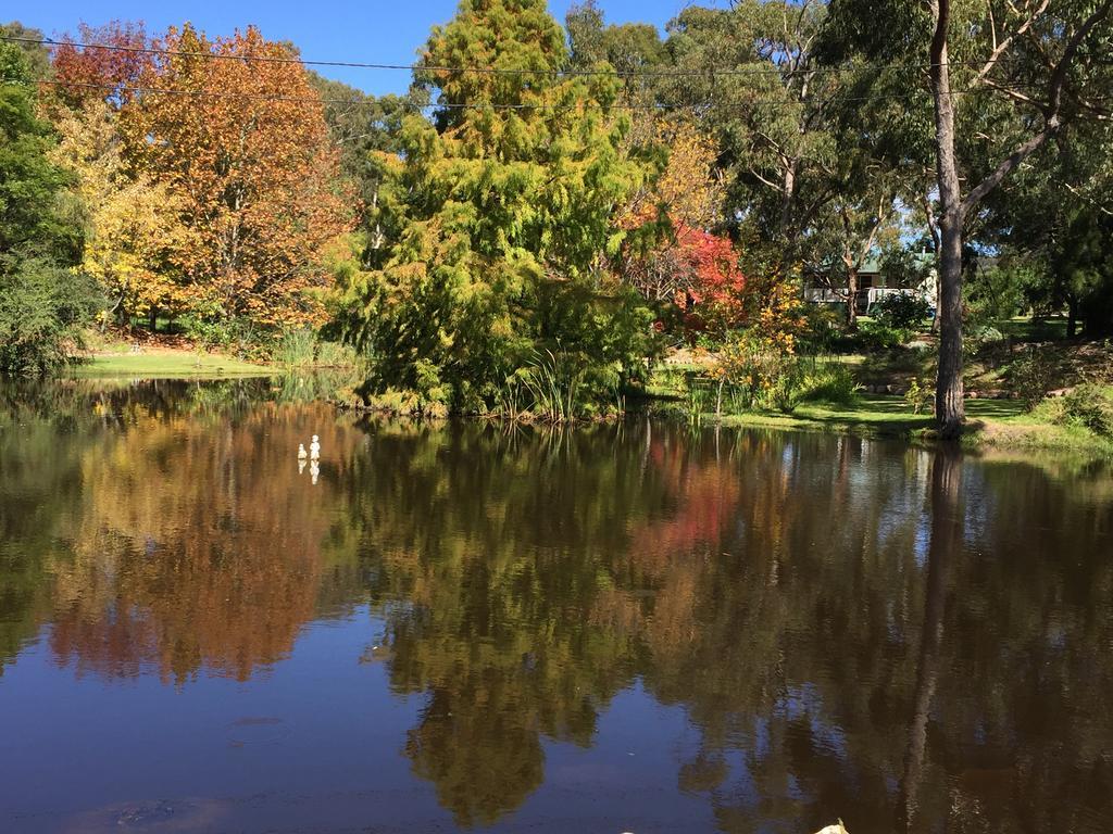 Granite Gardens Cottages & Lake Retreat Stanthorpe Exterior foto