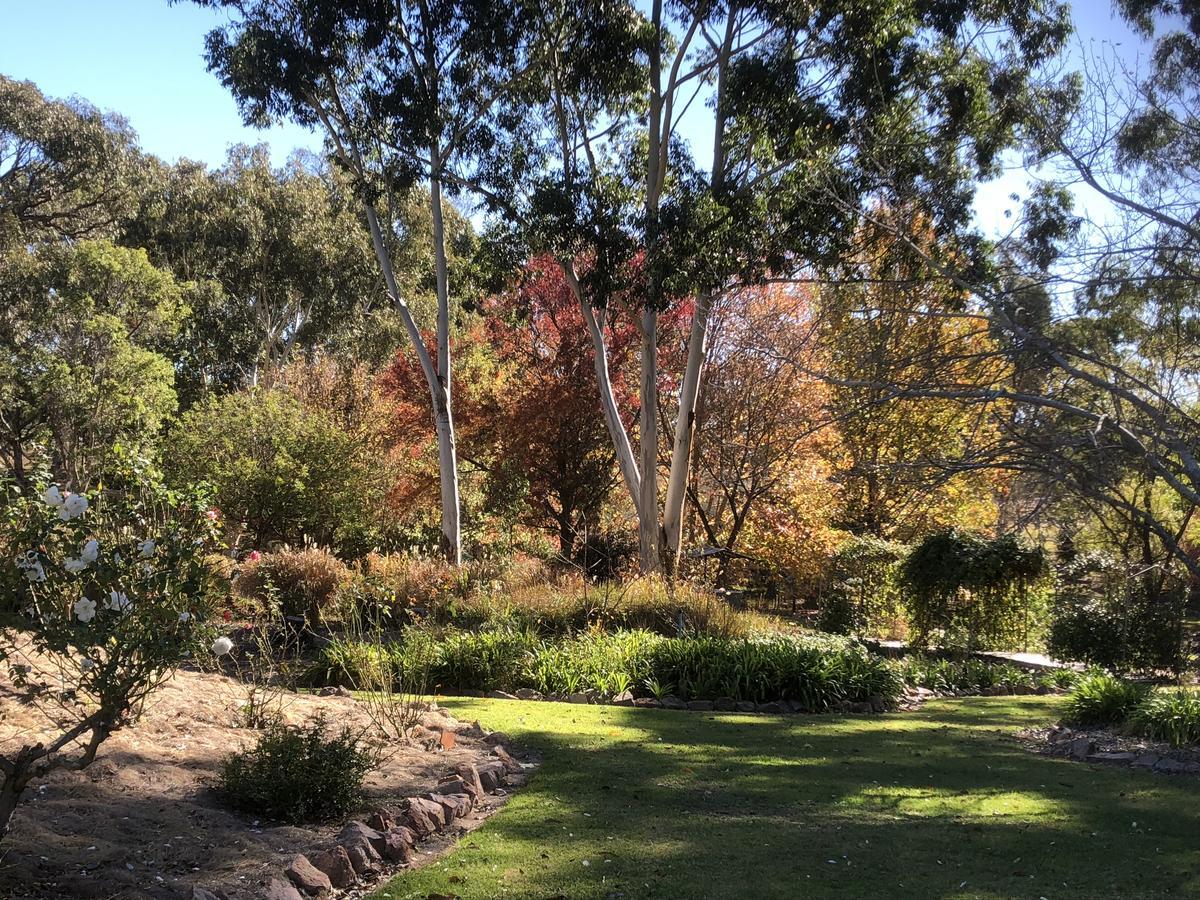 Granite Gardens Cottages & Lake Retreat Stanthorpe Exterior foto
